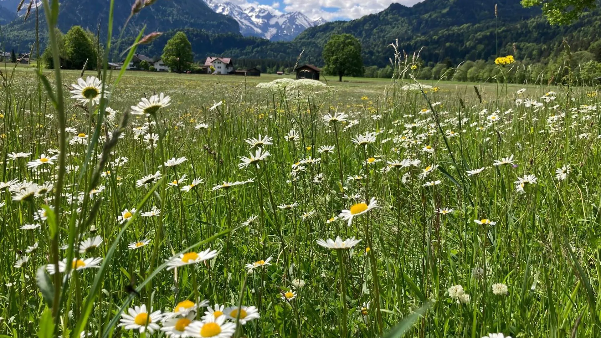 Eistaenzer Nest Apartment Oberstdorf